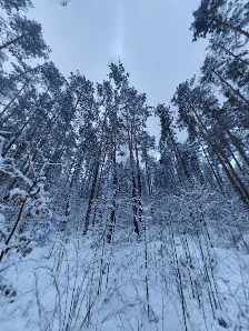 Відділ продажу ЖК Софія Резиденс (від забудовника)