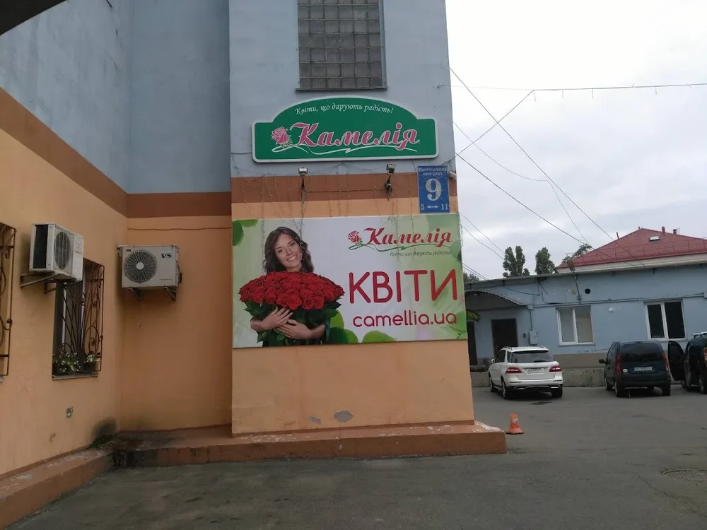 Камелія - гуртово-роздрібна база квітів