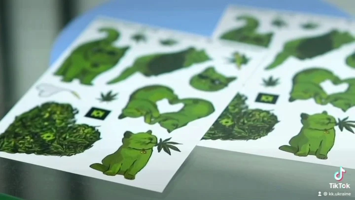 Культурний Клуб Headshop Бонги в Києві - 5