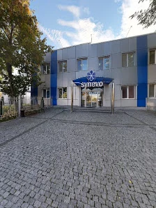 Сінево