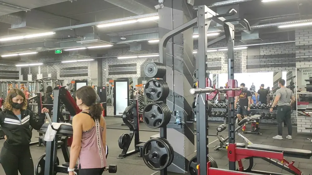 DOG & Grand CrossFit 2 - 3
