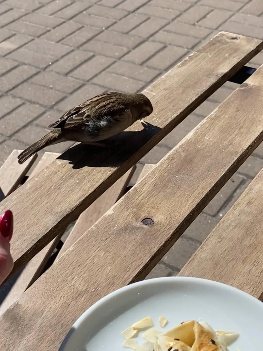 Espressoholic - 3