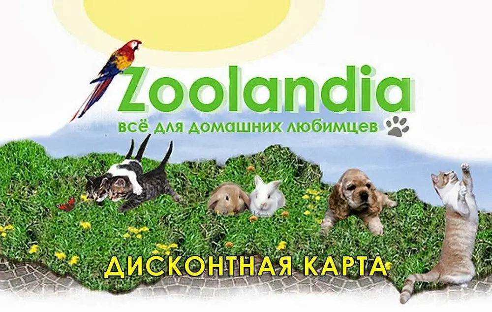 Zoolandia